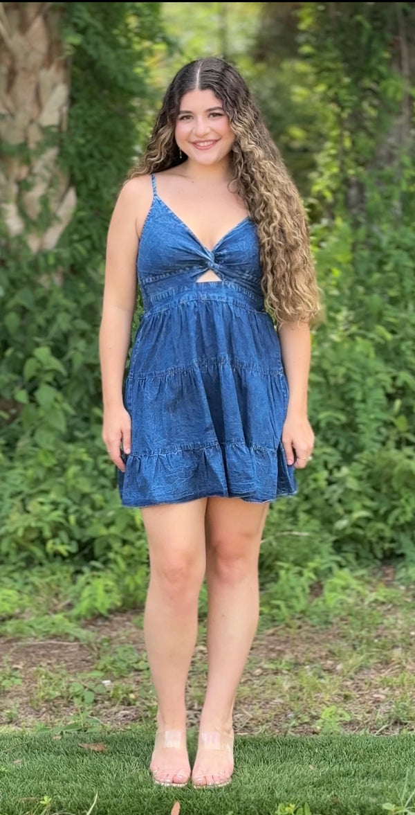 Karolina Twist Front Dress