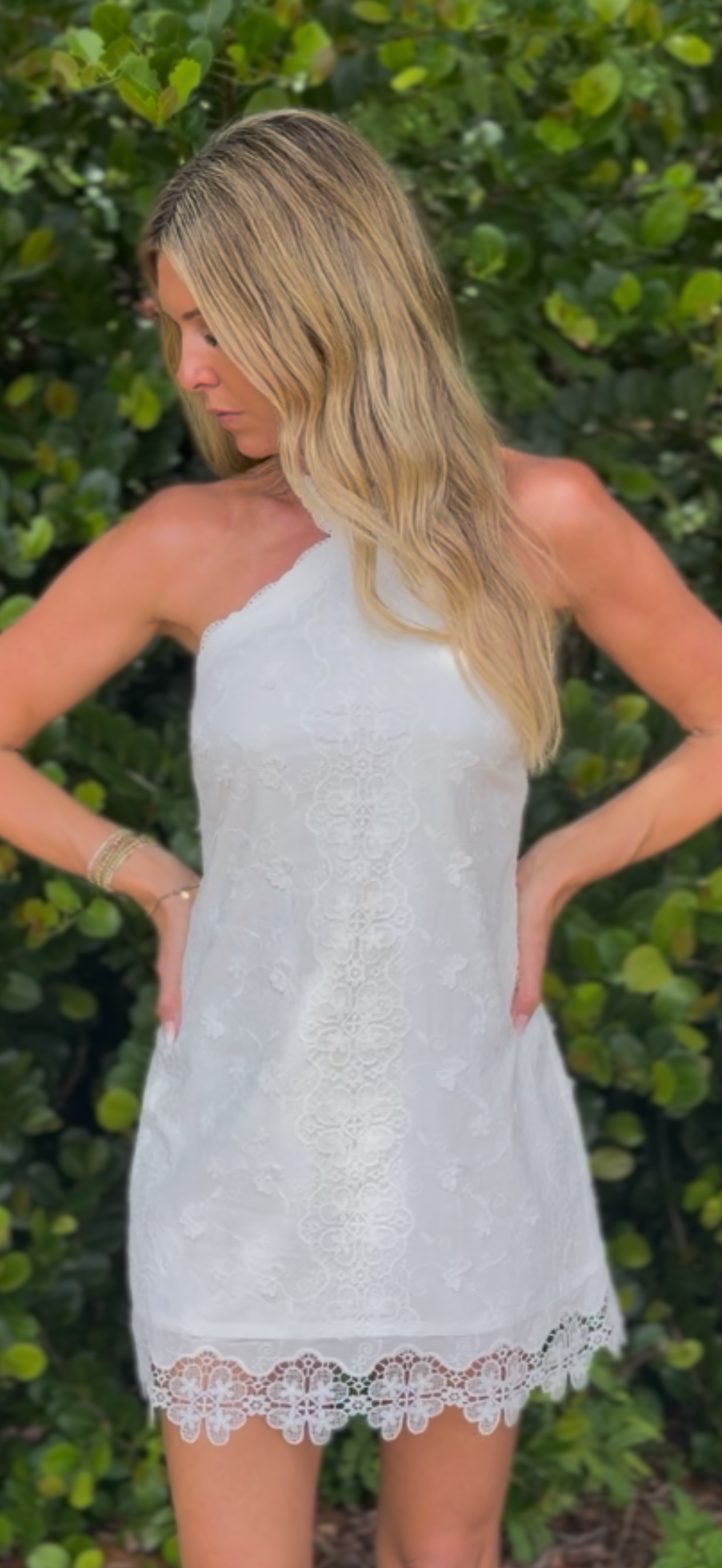 Luciana Lace Mini Dress